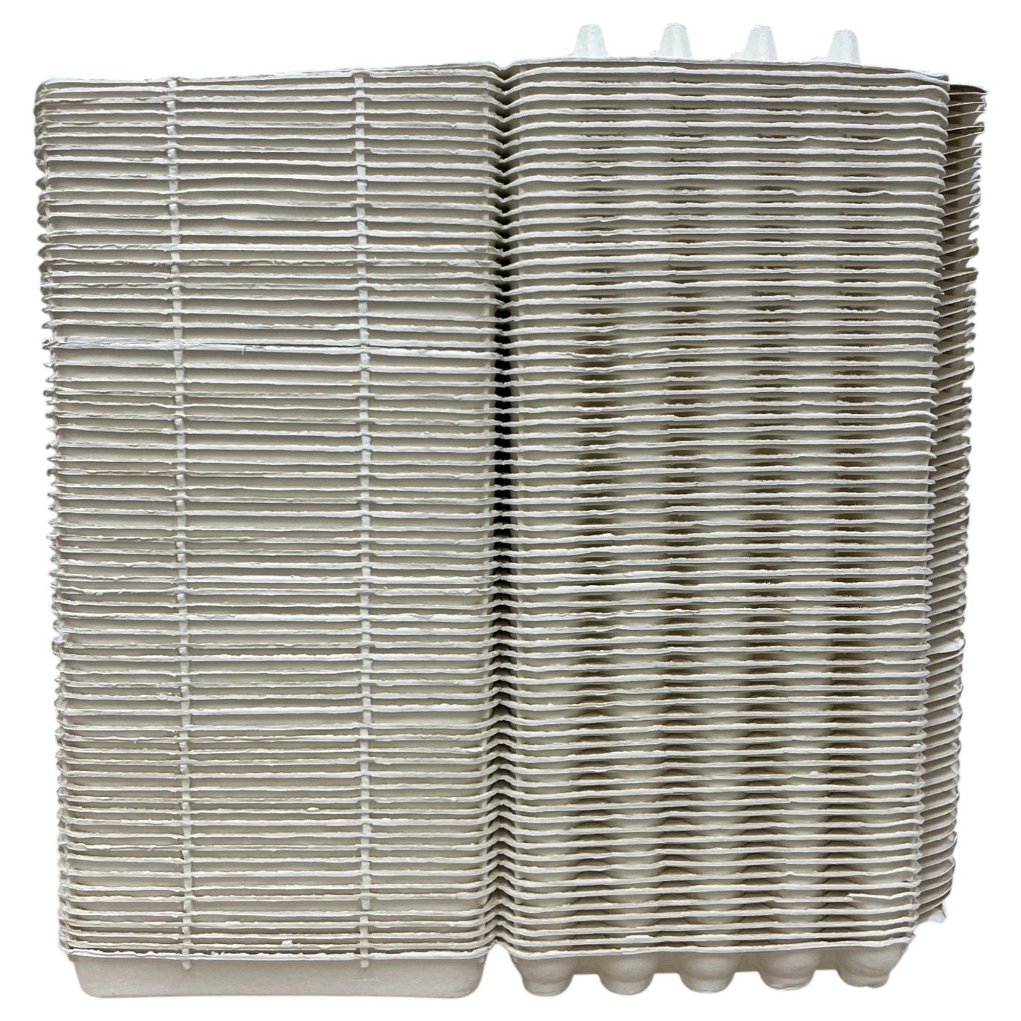 30-Egg Cartons For 2.5 Dozen Eggs - White Flat Top Carton