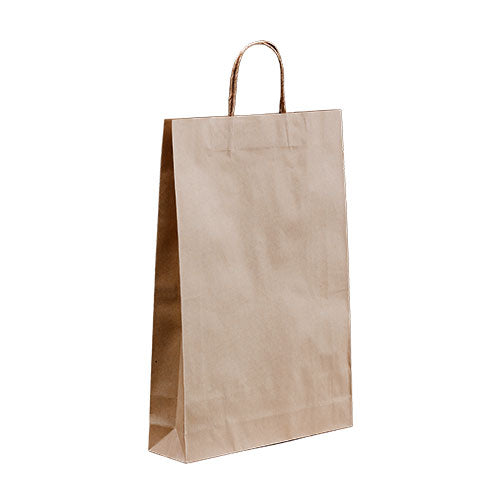 Brown Twisted Handle Kraft Paper Bags Size Medium