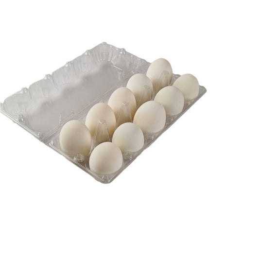 10-Egg Large Plastic Duck Egg Cartons - Clear Flat Top Carton