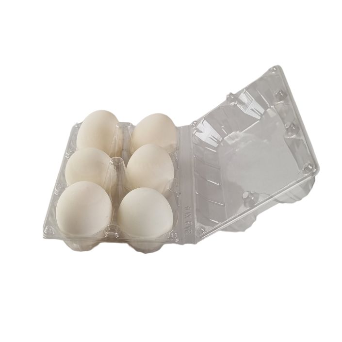 6-Egg Large Plastic Duck Egg Cartons - Clear Flat Top Carton