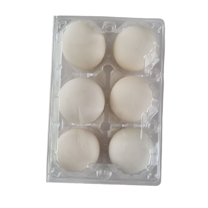 6-Egg Large Plastic Duck Egg Cartons - Clear Flat Top Carton