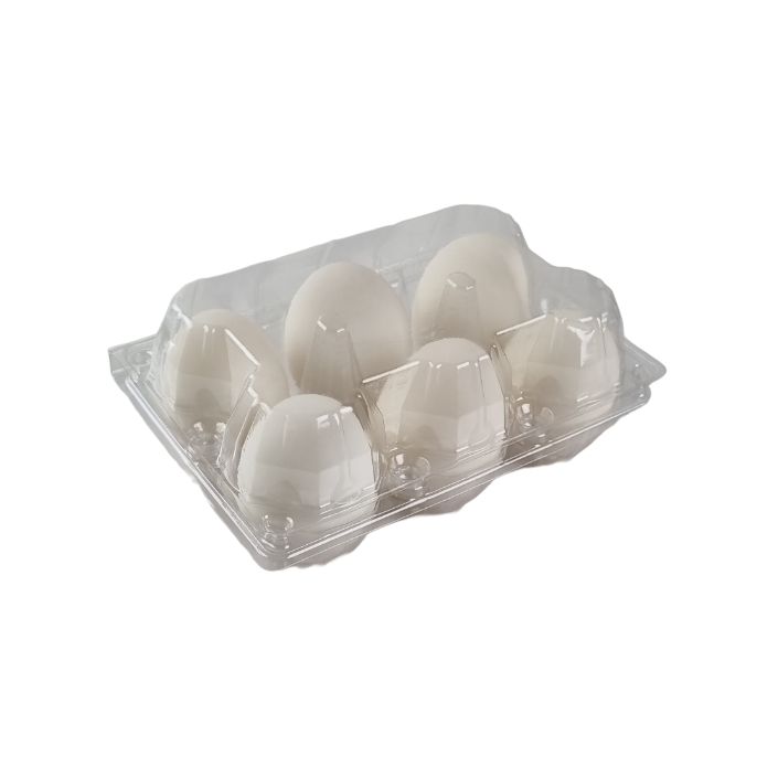 6-Egg Large Plastic Duck Egg Cartons - Clear Flat Top Carton