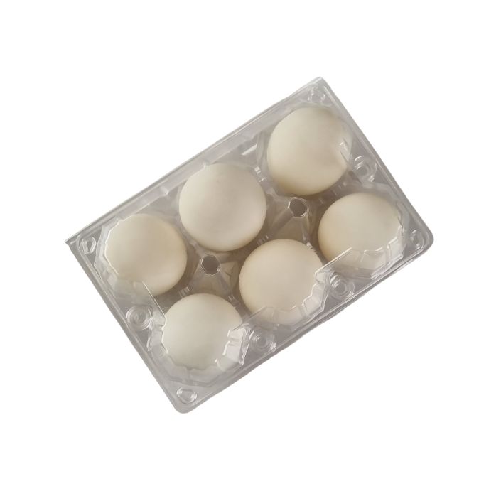 6-Egg Large Plastic Duck Egg Cartons - Clear Flat Top Carton