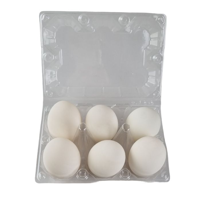 6-Egg Large Plastic Duck Egg Cartons - Clear Flat Top Carton