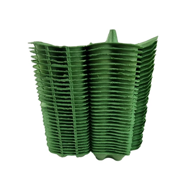 12-Egg Cartons For Full Dozen Eggs - Light Green Flat Top Carton