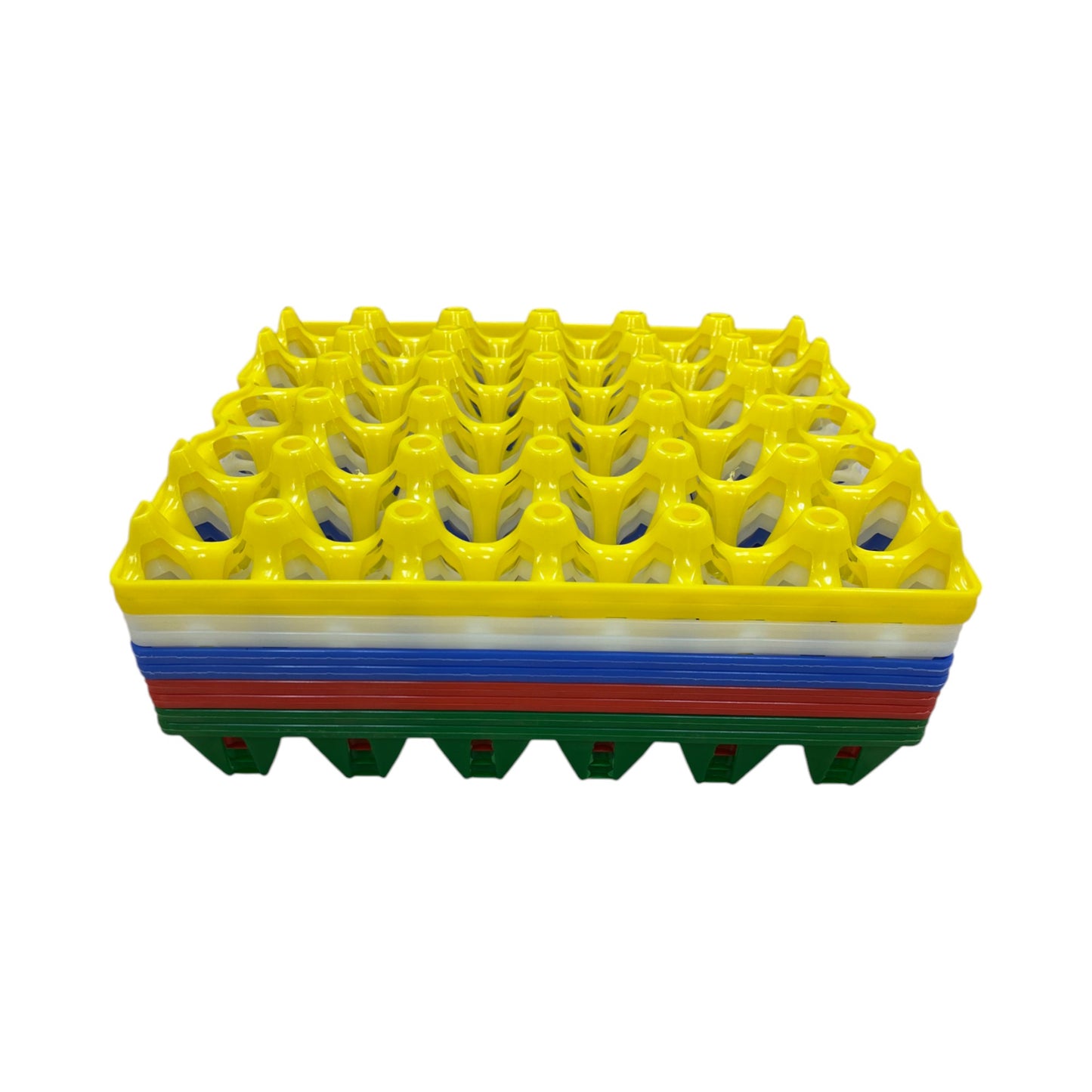 30-Egg Fillers - Multicoloured 30 Cell Plastic Pocket Egg Trays
