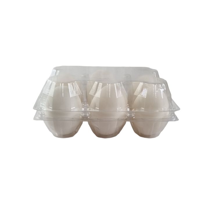 6-Egg Large Plastic Duck Egg Cartons - Clear Flat Top Carton