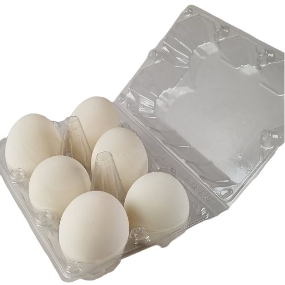 6-Egg Large Plastic Duck Egg Cartons - Clear Flat Top Carton