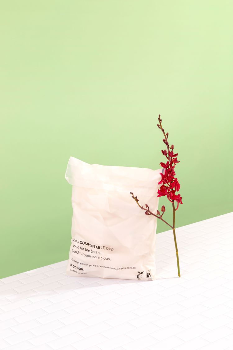Clear Biodegradable Medium Mailer 250X340mm Compostable Bag Satchels
